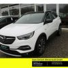 OPEL  Grandland 1.2 Turbo EU6d-T Ultimate Navi Soundsy, Jade Weiss/Arktis Weiss