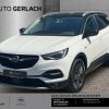 OPEL Grandland Opel 2020 1.2 Turbo EU6d Navi 360 Kame, Jade Weiss